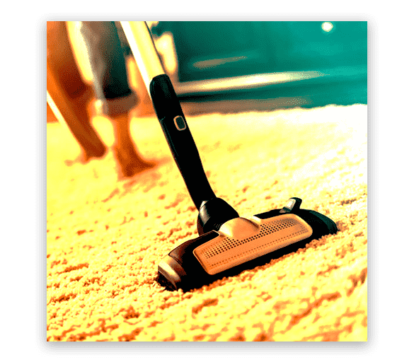 Professional Carpet Cleaning Mentone